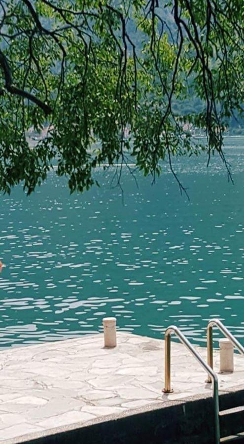 Montenegro Apartmant's Appartement Kotor