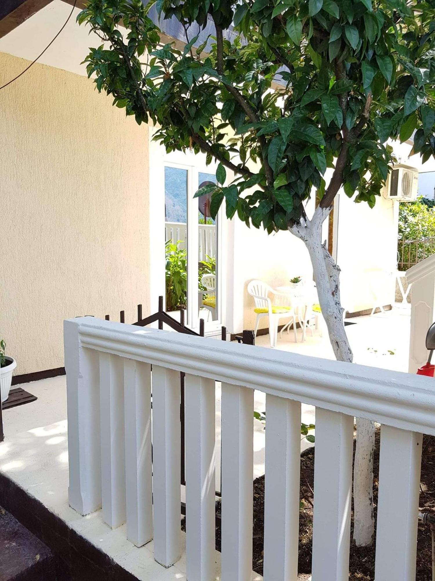 Montenegro Apartmant's Kotor