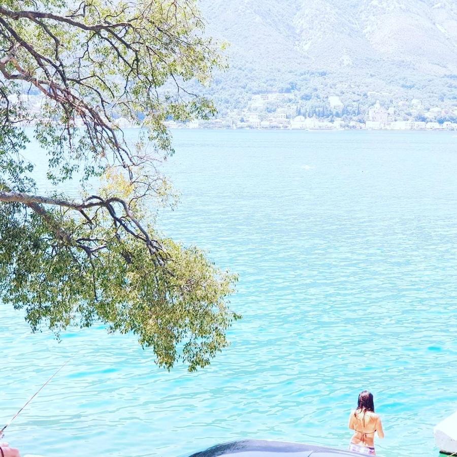 Montenegro Apartmant's דירה קוטור