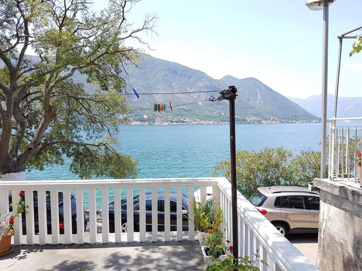 Montenegro Apartmant's דירה קוטור