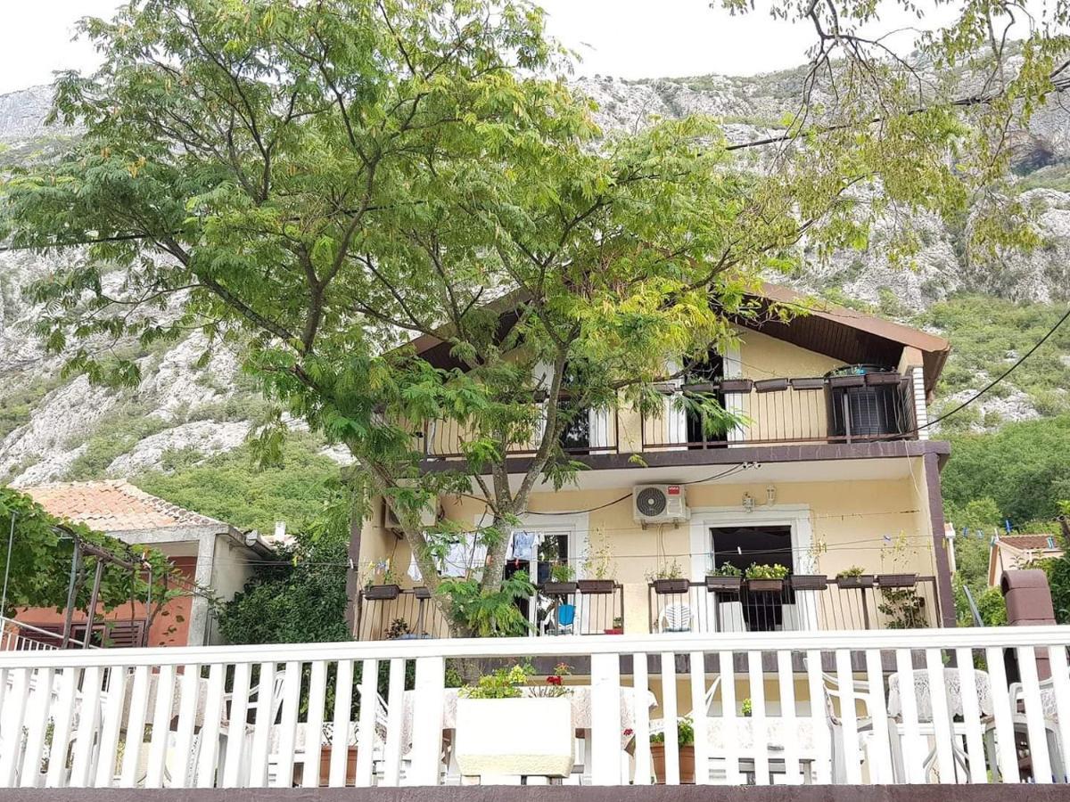 Montenegro Apartmant's דירה *